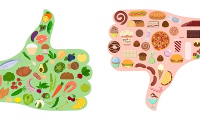 Les aliments transformés
